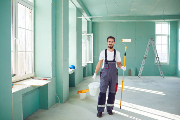 Mold Odor Removal Services in Nora Springs, IA